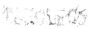 クリエイター名